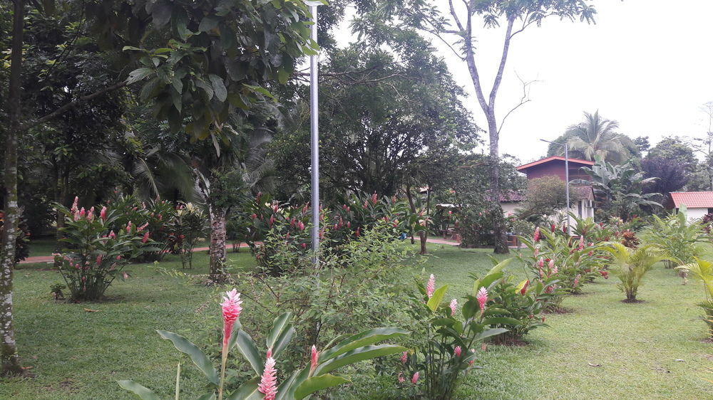 Hotel Las Orquideas La Fortuna Zewnętrze zdjęcie