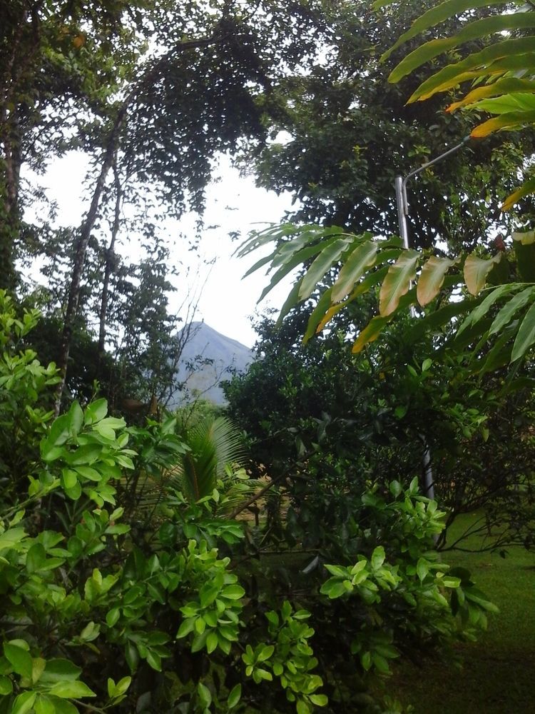 Hotel Las Orquideas La Fortuna Zewnętrze zdjęcie