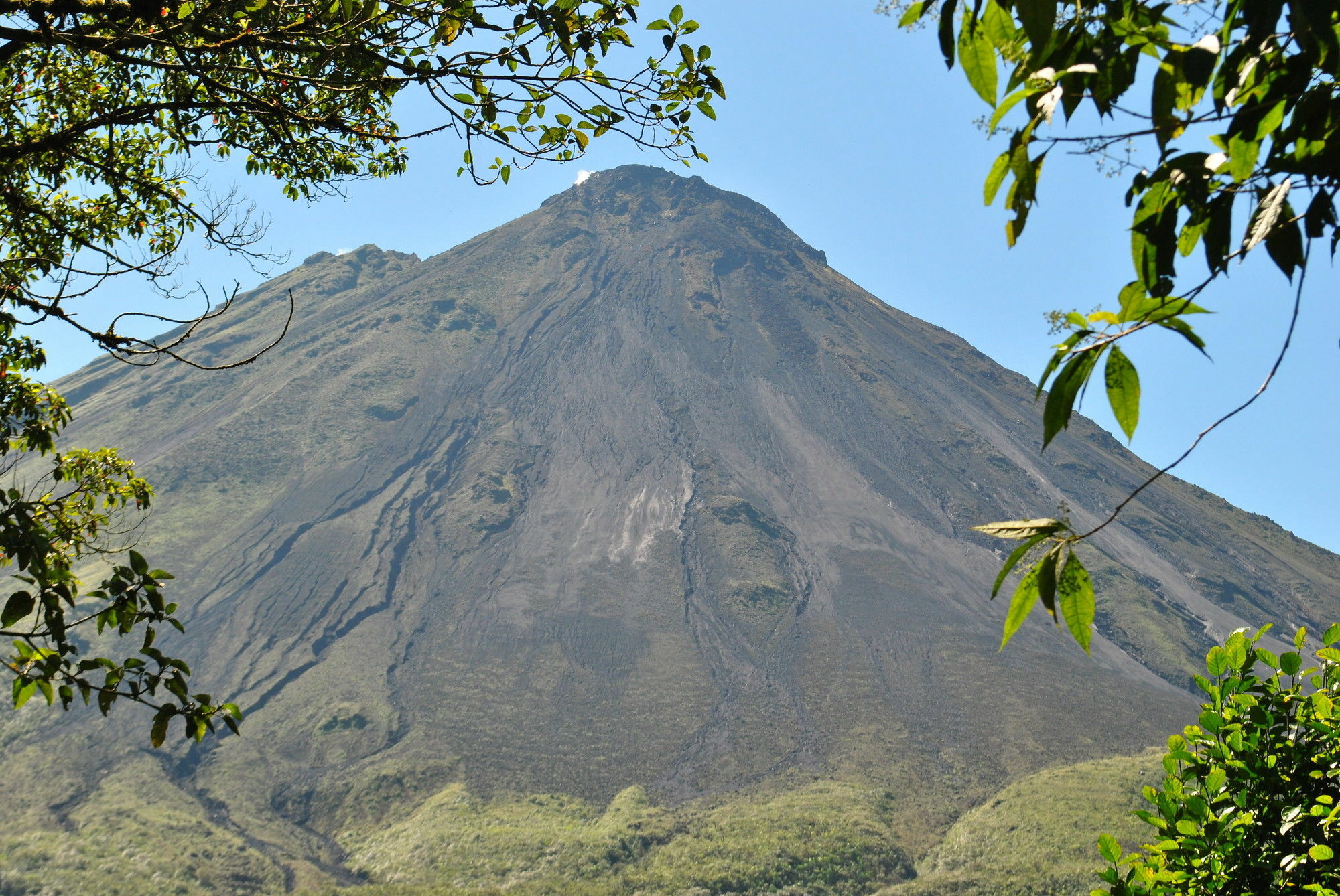 Hotel Las Orquideas La Fortuna Zewnętrze zdjęcie